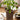 JUHAN Marzanna Vintage Crafted Breathable Flowerpot from JUHAN