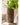 JUHAN Marzanna Vintage Crafted Breathable Flowerpot from JUHAN