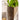 JUHAN Marzanna Vintage Crafted Breathable Flowerpot from JUHAN