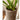 JUHAN Marzanna Vintage Crafted Breathable Flowerpot from JUHAN
