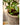 JUHAN Marzanna Vintage Crafted Breathable Flowerpot from JUHAN