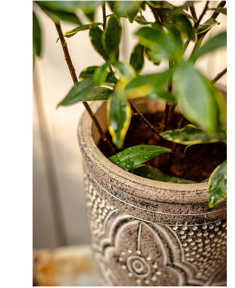 JUHAN Marzanna Vintage Crafted Breathable Flowerpot from JUHAN