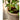 JUHAN Marzanna Vintage Crafted Breathable Flowerpot from JUHAN