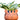 JUHAN Mireille Artistic Floral Clay Flowerpot Decor from JUHAN