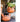 JUHAN Mireille Artistic Floral Clay Flowerpot Decor from JUHAN