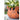 JUHAN Mireille Artistic Floral Clay Flowerpot Decor from JUHAN