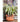 JUHAN Mireille Artistic Floral Clay Flowerpot Decor from JUHAN