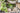 JUHAN Nizami Elegant Textured Flower Pot Cloth Bag from JUHAN