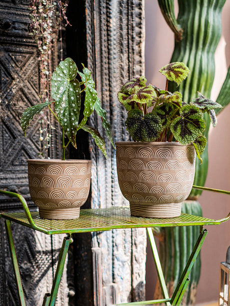 JUHAN Sakura Haruki Large Breathable Flowerpot from JUHAN