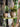 JUHAN Sakura Haruki Large Breathable Flowerpot from JUHAN