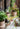 JUHAN Sakura Haruki Large Breathable Flowerpot from JUHAN