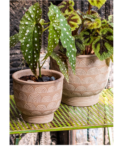 JUHAN Sakura Haruki Large Breathable Flowerpot from JUHAN