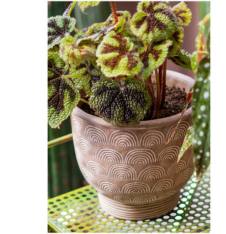 JUHAN Sakura Haruki Large Breathable Flowerpot from JUHAN