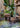JUHAN Sakura Haruki Large Breathable Flowerpot from JUHAN