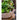 JUHAN Sakura Haruki Large Breathable Flowerpot from JUHAN
