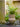 JUHAN Sakura Haruki Large Breathable Flowerpot from JUHAN