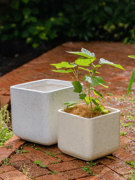 JUHAN Santiago Minimalist Square Planting Basin from JUHAN