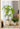 JUHAN Santiago Minimalist Square Planting Basin from JUHAN