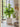 JUHAN Santiago Minimalist Square Planting Basin from JUHAN