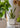 JUHAN Santiago Minimalist Square Planting Basin from JUHAN