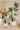 JUHAN Santiago Minimalist Square Planting Basin from JUHAN