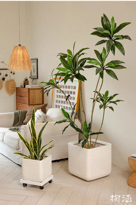 JUHAN Santiago Minimalist Square Planting Basin from JUHAN