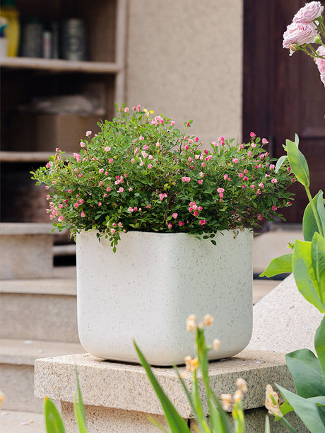 JUHAN Santiago Minimalist Square Planting Basin from JUHAN