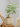 JUHAN Santiago Minimalist Square Planting Basin from JUHAN