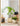 JUHAN Santiago Minimalist Square Planting Basin from JUHAN