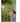 JUHAN Santiago Vintage Creative Retro Ceiling Lamp from JUHAN