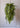 JUHAN Santiago Vintage Creative Retro Ceiling Lamp from JUHAN