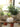 JUHAN Serafina Retro Flowerpot Creative Jewelry Scandinavian Decorations from JUHAN