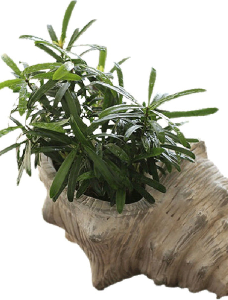 JUHAN Serafina Retro Flowerpot Creative Jewelry Scandinavian Decorations from JUHAN