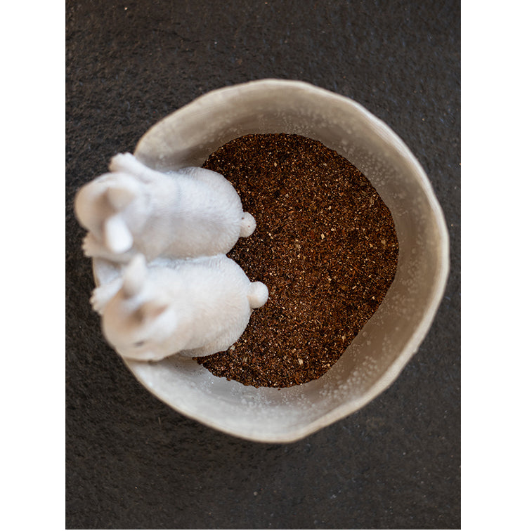 JUHAN Seraphina Charming Rabbit Flower Pot Decorative Table Jewelry from JUHAN