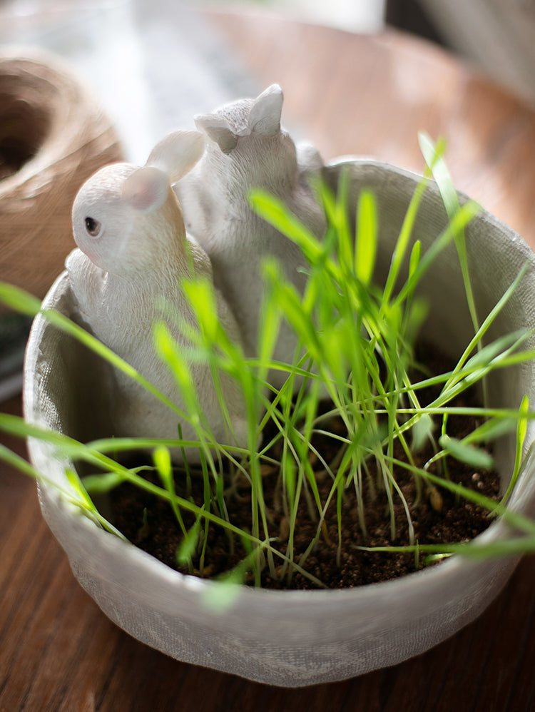 JUHAN Seraphina Charming Rabbit Flower Pot Decorative Table Jewelry from JUHAN