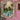 JUHAN Seraphina Classic Retro Chic Mirror Decor from JUHAN