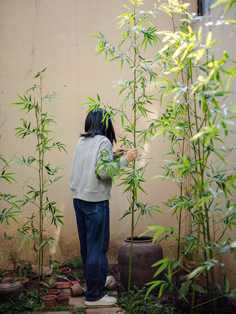 JUHAN Seraphina Eco-Friendly Bamboo Partition Screen from JUHAN