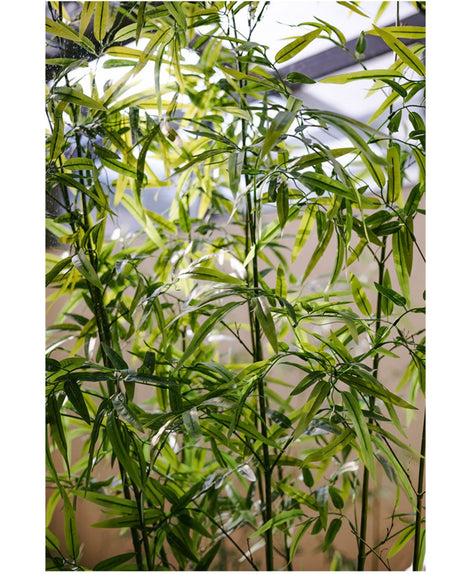 JUHAN Seraphina Eco-Friendly Bamboo Partition Screen from JUHAN
