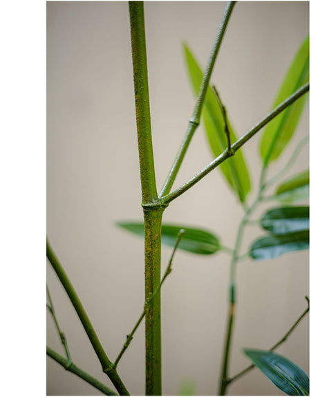 JUHAN Seraphina Eco-Friendly Bamboo Partition Screen from JUHAN