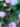 JUHAN Solene Elegant Tube Plant Lamp for Gazebo Decorations from JUHAN