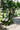 JUHAN Solene Elegant Tube Plant Lamp for Gazebo Decorations from JUHAN