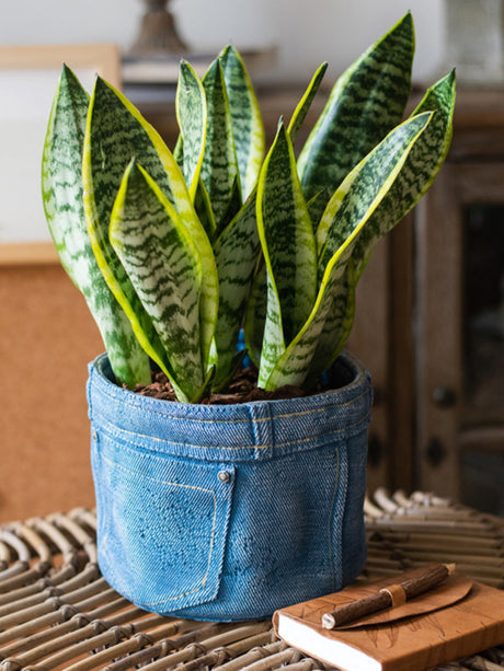 JUHAN Sotsuji Denim Pocket Floral Desktop Decor from JUHAN