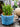 JUHAN Sotsuji Denim Pocket Floral Desktop Decor from JUHAN