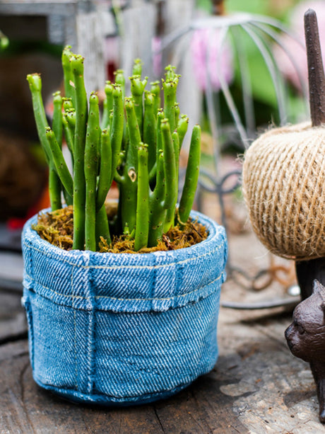 JUHAN Sotsuji Denim Pocket Floral Desktop Decor from JUHAN