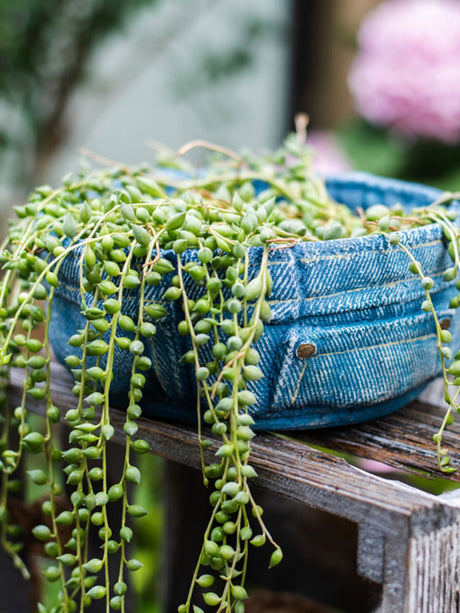 JUHAN Sotsuji Denim Pocket Floral Desktop Decor from JUHAN