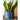 JUHAN Sotsuji Denim Pocket Floral Desktop Decor from JUHAN