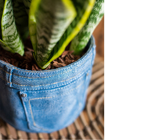 JUHAN Sotsuji Denim Pocket Floral Desktop Decor from JUHAN