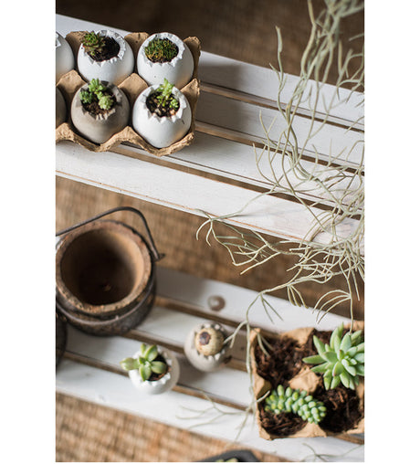 JUHAN Takayuki Stylish Universal Stand Gazebo Decoration from JUHAN