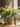 JUHAN Thalassa Ornate Greenery Simulation Plant Arrangement Decor from JUHAN