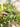 JUHAN Thalassa Ornate Greenery Simulation Plant Arrangement Decor from JUHAN